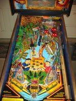 Image # 10221: Gilligan's Island Playfield