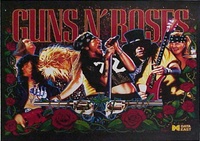 Image # 6846: Guns N' Roses Backglass