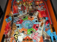 Image # 9840: Bad Cats Center Playfield