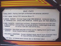 Image # 32757: Bad Cats Instruction Card