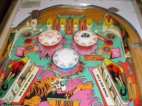 Image # 27049: Jungle Queen Upper Playfield