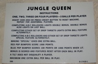 Image # 42169: Jungle Queen Instruction Card - 3 Balls