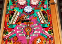 Image # 52671: Jungle Queen Middle Playfield