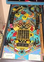 Image # 7176: Mr. & Mrs. Pac-Man Pinball Playfield