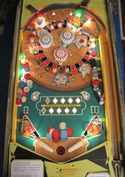 Image # 44239: Odds & Evens Illuminated Playfield