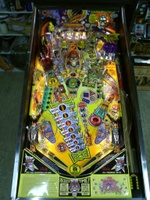 Image # 31166: The Party Zone Playfield