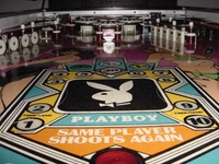 Image # 19872: Playboy Playfield - Ball View