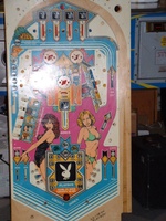 Image # 27613: Playboy Blank Playfield