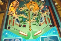 Image # 19812: Seawitch Lower Playfield