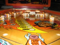 Image # 35225: Sinbad Playfield