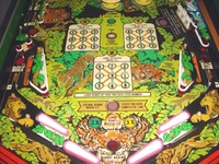 Image # 20031: Big Game Lower Playfield