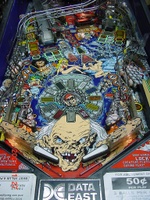 Image # 13008: Tales from the Crypt Lower Playfield