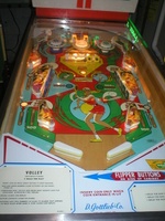 Image # 34489: Volley Illuminated Playfield