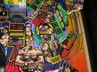 Image # 22164: WWF Royal Rumble Playfield - Detail