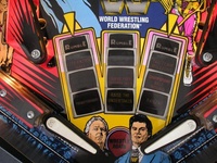 Image # 22165: WWF Royal Rumble Playfield - Detail