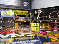 Image # 22166: WWF Royal Rumble Playfield - Ball View