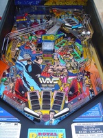 Image # 17738: WWF Royal Rumble Playfield