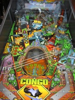 Image # 7904: Congo Playfield