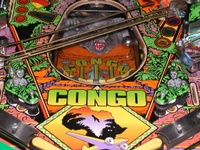 Image # 31233: Congo Prototype Lower Playfield