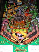 Image # 31231: Congo Prototype Playfield