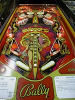 Image # 7730: Mata Hari Playfield