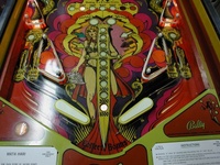 Image # 7731: Mata Hari Lower Playfield