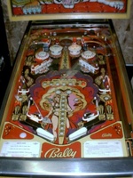 Image # 5950: Mata Hari Plastic Playfield