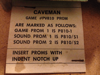 Image # 75696: Caveman PROM Labeling