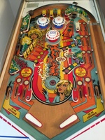 Image # 65843: Centigrade 37 Playfield 
(Serial number 4542.)