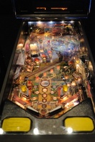 Image # 43603: Big Buck Hunter Pro Playfield (Test Game)