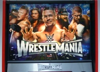 Image # 66074: Wrestlemania (Pro) Illuminated Translite