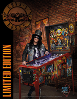 Image # 78409: Guns N' Roses Not In This Lifetime (Limited Edition) Flyer - Front