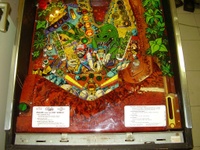 Image # 35165: Escape from the Lost World Lower Playfield