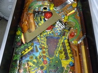 Image # 49187: Escape from the Lost World Middle Playfield 
(The playfield glass had been removed in this image.)