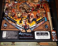 Image # 45606: Mary Shelley's Frankenstein Lower Playfield