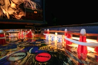 Image # 32531: Frontier Illuminated Playfield - Ball View