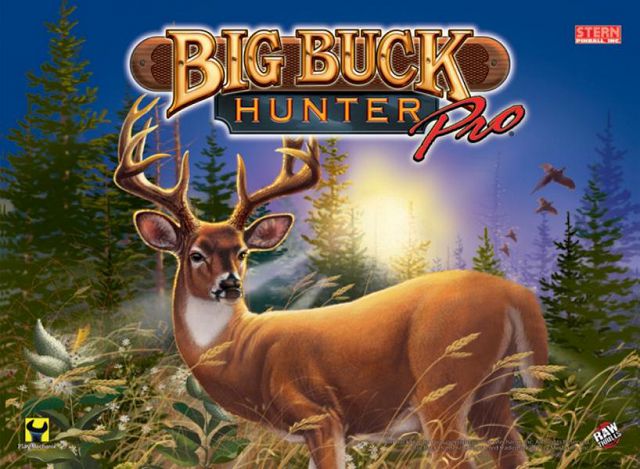 Big Buck Hunter Pro